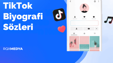 tiktok biyografi sözleri